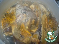 ������������ ������� � ������� ������ �����������