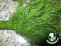 ���� "��������-���������" �����������