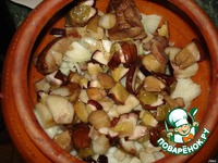 ������ � ������ �����������