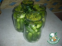 ������ ������������ "������� ������" �����������