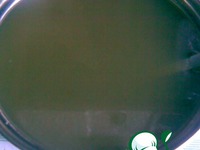 �������� ������ �����������