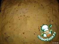 ����� � ���������� � ������ �����������