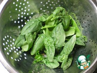 �������� � ���������� � �������� �����������