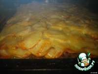 �������� �����������