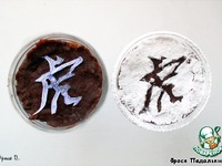 ������� �������� ������ �����������