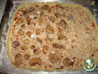 ����� � ����� �����������