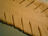 ������� � ����� �����������