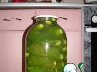 ������ �������� �����������