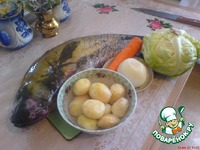 �� �� ���� �����������