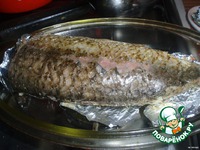 ������ �����������