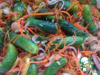 ������ ��-�������� �����������