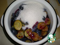 ��������-�������� ���� �����������