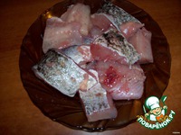 ���� � �������� �����������