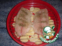 ����-����� � ���������� ��� ���������-��������� ������ �����������