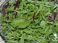 ������ ����� � ������������ ��������� "���������� ��������" �����������