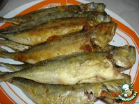 �������� � �������� "��������" �����������