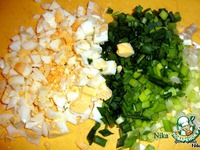 ����� � ������ � ������� ����� �����������