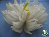 ��������� �� ���� "����������" �����������