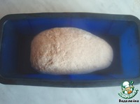 ��������-������ ���� �� �������� �����������