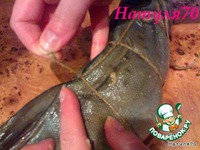 �������� ������� �����������