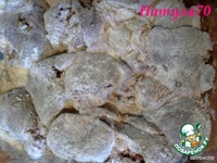 �������� �� ������ ������� � ���������� ����� �����������