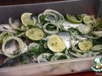 ����� �� ����� � ������ "�����" �����������