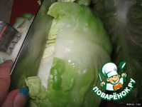 �������, �����e���� ��� ��������-������� ������ �����������