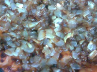 ������� ����� �� �������� ���� �����������