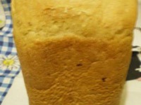 ���� ��������� ��������-���������� �����������