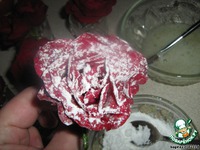 ���� "������" �����������