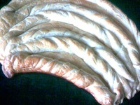 ���������� ����� "�������" �����������