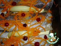 ���� � �������� � ������� �����������