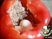 ������������� ����� �����������