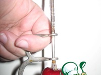 ����� � �������� � �������� �������� �����������