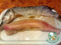 ������������� ���� "�����������" �����������