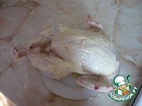   &quot;Victoria&quot; 