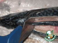 �������� ���������� ������� �����������