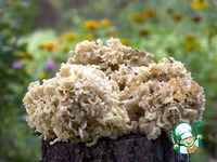 ���������� ��� ������� ���� � ��������� �����������