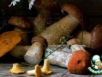 ����� ������� ������� ��� �����������