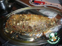 ������ �����������