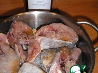 ����� ���� �� ���� �����������