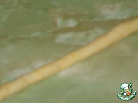 ������� � ����� � ������ �����������