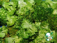 ����-����� � ����� � �������� �����������