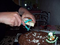 ��������-���������� ���� �����������