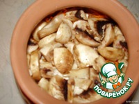 �������� � ������� � ��������� �����������