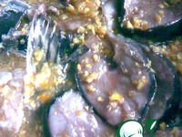 ������� "�������" �����������