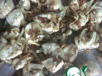 ����� "�������" �����������