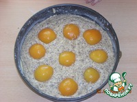 ���� � ���������� �����������