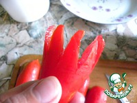 ������� "�����" �����������