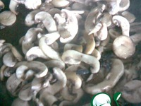 ����� � �������� ������ �����������